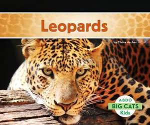 Leopards de Claire Archer