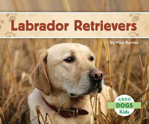 Labrador Retrievers de Nico Barnes