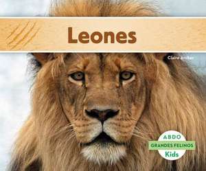 Leones (Lions) de Claire Archer