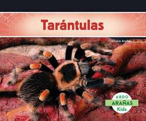 Tarantulas (Tarantula Spiders) de Claire Archer