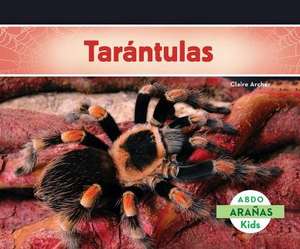 Tarantulas de Claire Archer