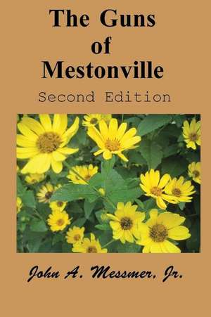 The Guns of Mestonville de John Messmer Jr.