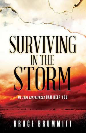 Surviving in the Storm: My True Experiences Can Help You de Bruce Brummitt