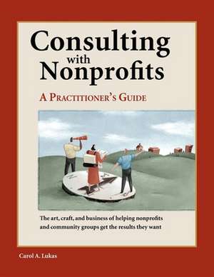 Consulting with Nonprofits: A Practitioner's Guide de Carol Lukas