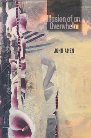 Illusion of an Overwhelm de John Amen