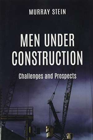 Men Under Construction de Murray Stein