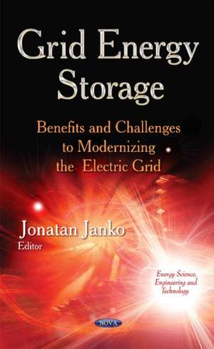 Grid Energy Storage de Jonatan Janko