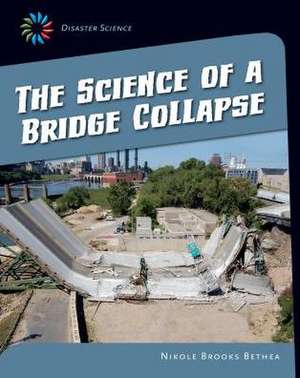 The Science of a Bridge Collapse de Nikole Brooks Bethea