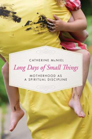 Long Days of Small Things de Catherine McNiel