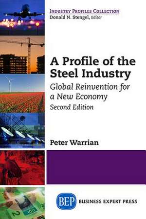 A Profile of the Steel Industry: Global Reinvention for a New Economy, Second Edition de Peter Warrian