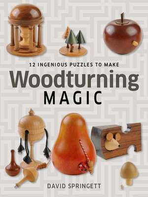 Woodturning Magic: 12 Ingenious Puzzles to Make de David Springett