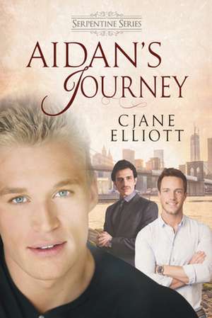 Aidan's Journey de CJane Elliott