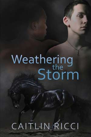 Weathering the Storm de Caitlin Ricci