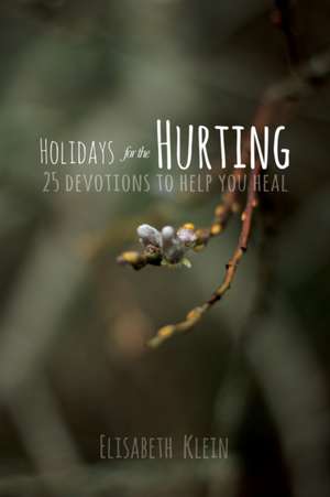 Holidays for the Hurting de Elisabeth Klein