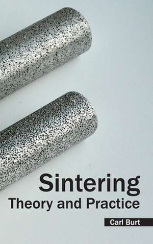 Sintering de Carl Burt