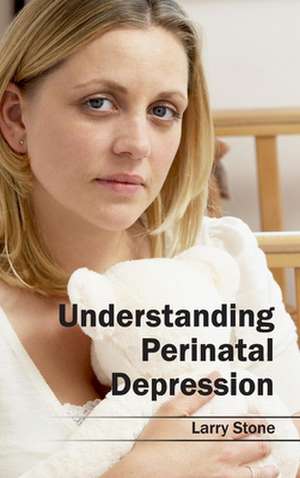 Understanding Perinatal Depression de Larry Stone