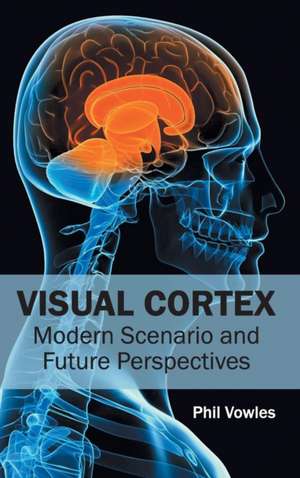 Visual Cortex de Phil Vowles