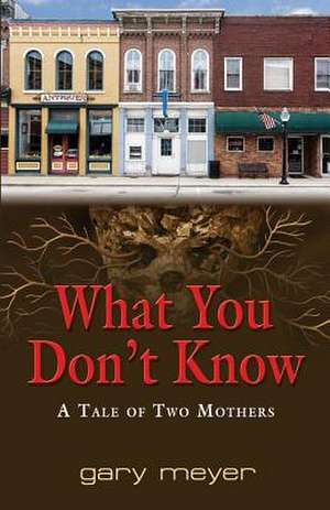 What You Don't Know de Gary Meyer