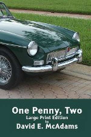 One Penny, Two de David E. McAdams