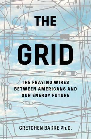 The Grid: The Fraying Wires Between Americans and Our Energy Future de Gretchen Bakke, Ph.D.