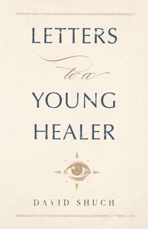 Letters to a Young Healer de David Shuch