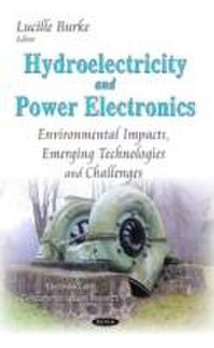 Hydroelectricity & Power Electronics de Lucille Burke