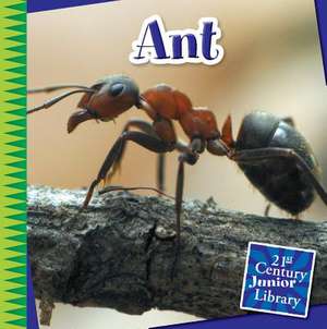 Ant de Susan Heinrichs Gray