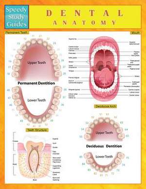 Dental Anatomy (Speedy Study Guides) de Speedy Publishing LLC