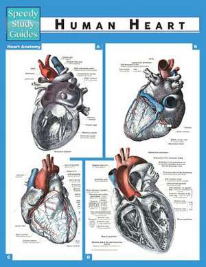 Human Heart (Speedy Study Guide) de Speedy Publishing LLC