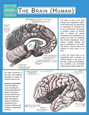 The Brain (Human) (Speedy Study Guide) de Speedy Publishing LLC