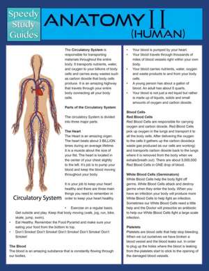 Anatomy II (Human) (Speedy Study Guide) de Speedy Publishing Llc