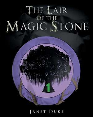 The Lair of the Magic Stone de Janet L Duke