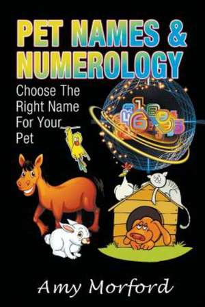 Pet Names and Numerology de Amy Morford