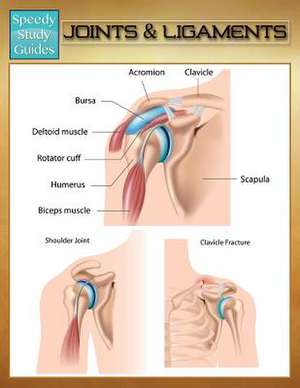 Joints & Ligaments (Speedy Study Guides) de Speedy Publishing LLC