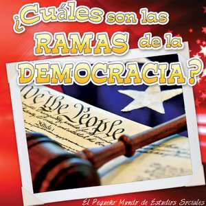 Cuales Son Las Ramas de La Democracia? (What Are the Branches of Democracy?) de Ann H. Matzke