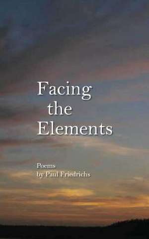 Facing the Elements de Paul Edward Friedrichs