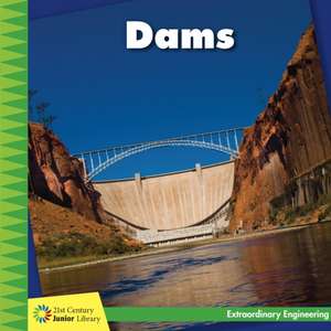 Dams de Virginia Loh-Hagan