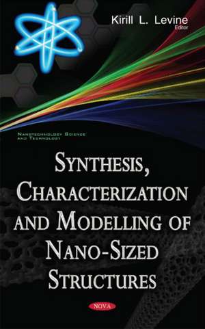 Synthesis, Characterization & Modelling of Nano-Sized Structures de Kirill L Levine