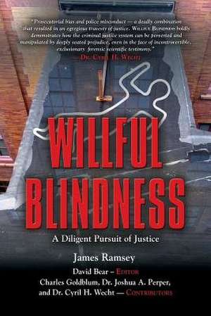 Willful Blindness de David Bear