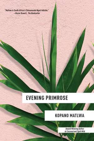 Evening Primrose de Kopano Matlwa