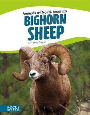 Bighorn Sheep de Tammy Gagne