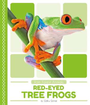 Red-Eyed Tree Frogs de Golriz Golkar