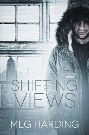 Shifting Views de Meg Harding