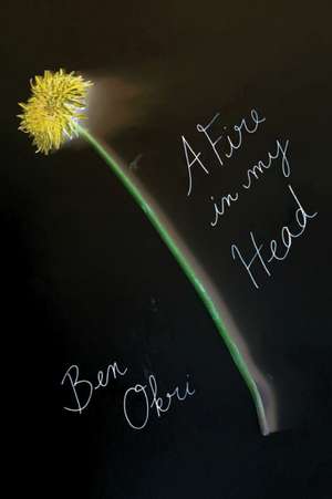 A Fire in My Head: Poems for the Dawn de Ben Okri