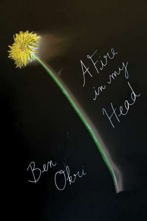 A Fire in My Head de Ben Okri