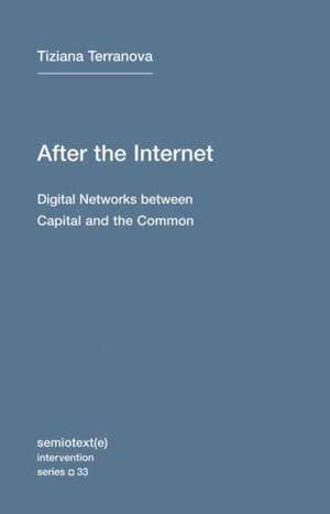 After the Internet de Tiziana Terranova