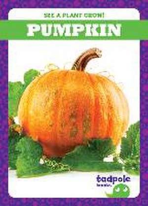 Pumpkin de Charlie W Sterling