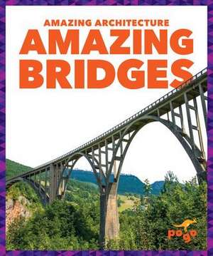 Amazing Bridges de Anita Nahta Amin