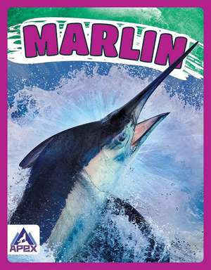 Marlin de Katie Chanez