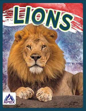 Lions de Sophie Geister-Jones